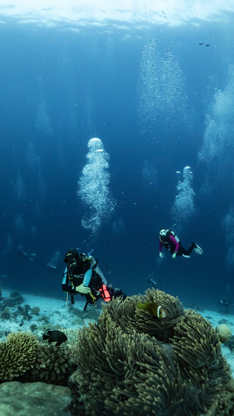 P3101550 2