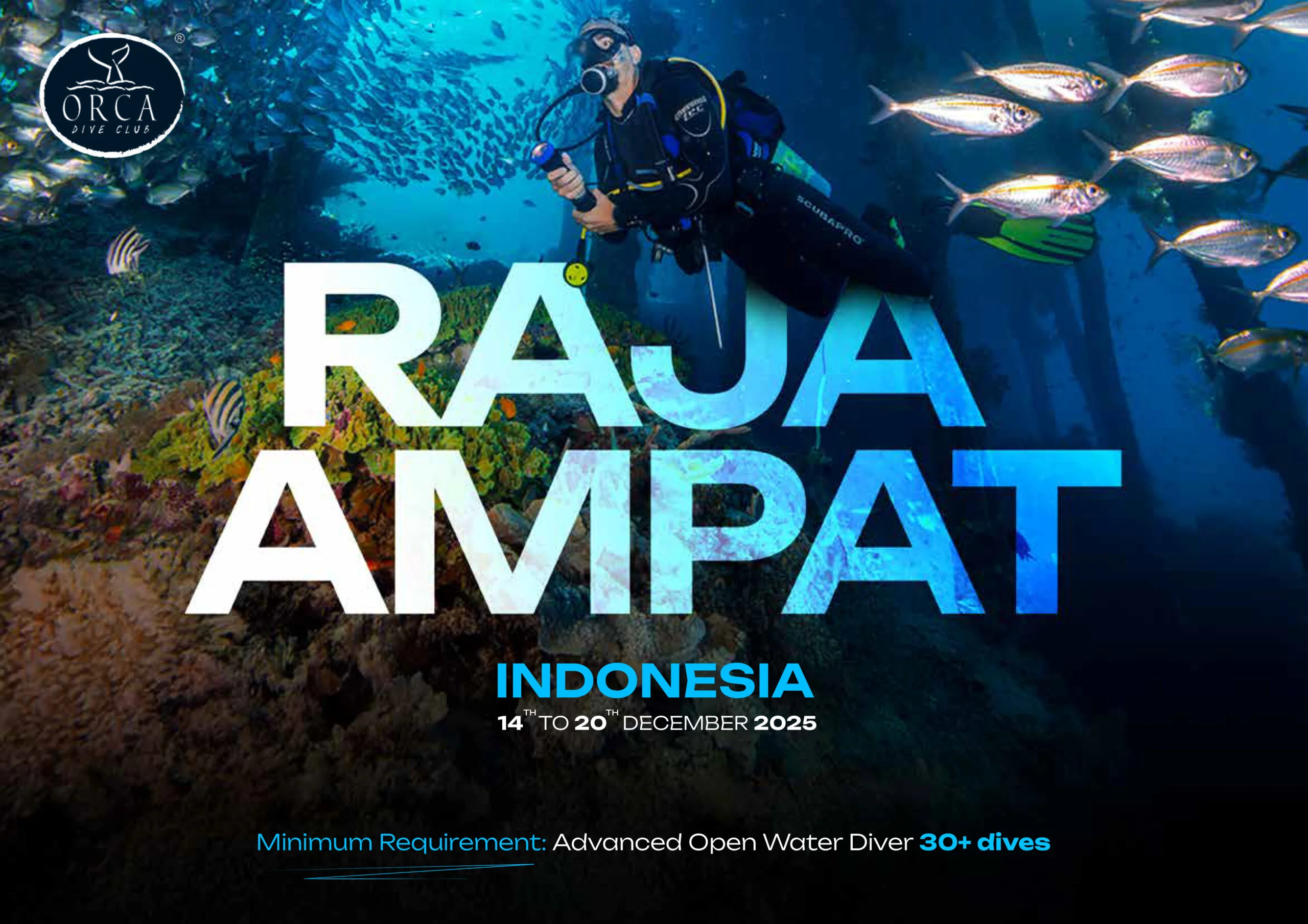 Raja Ampat scenic diving destination